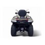 Квадроцикл BIZON YK450A (ПТС)